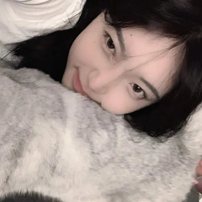 北京女子图鉴之整容大师封面