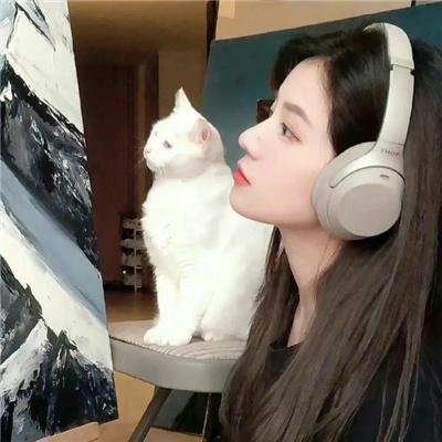 盖世霸王封面