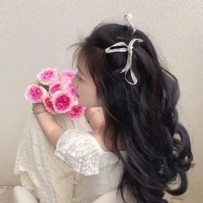 狗狗监护权封面